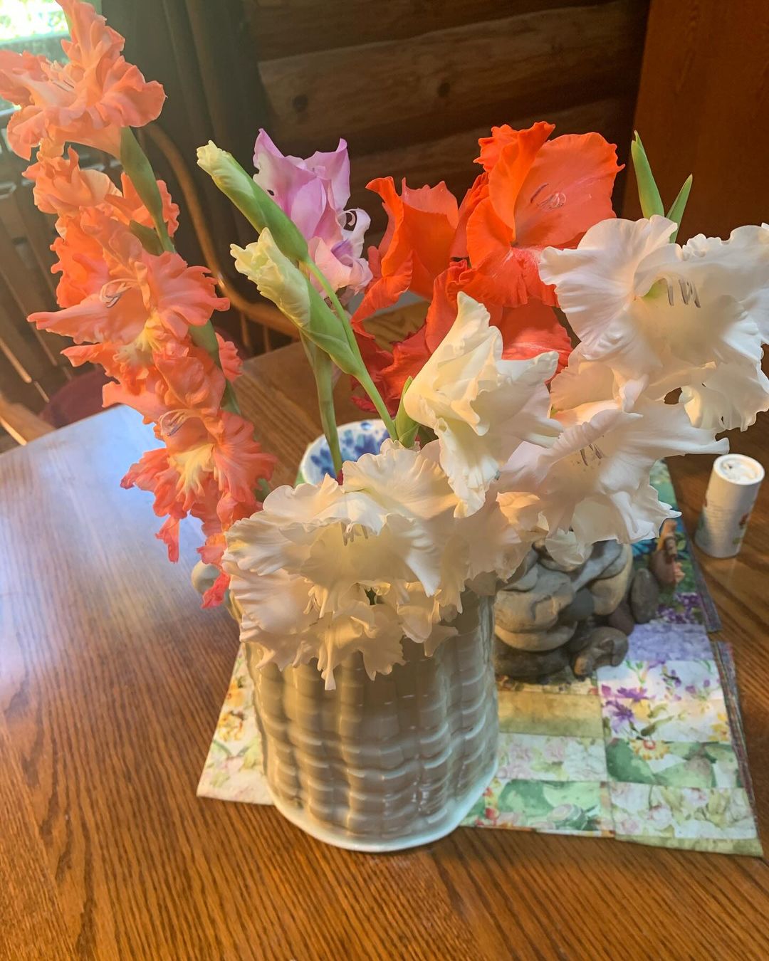 photo of gladiolus flowers