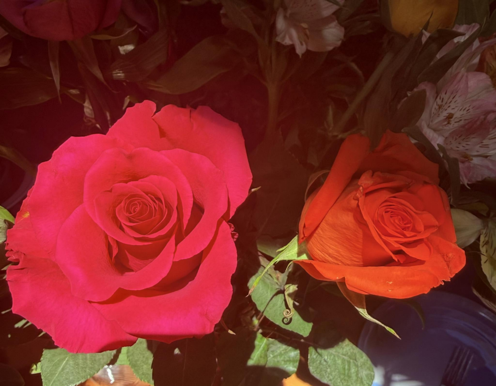 a stylized photo of two roses