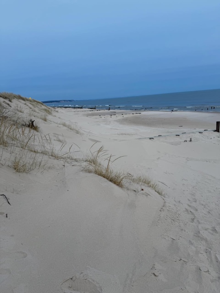 A photo of sand dunes near Lake Michigan with the large sky in the background.